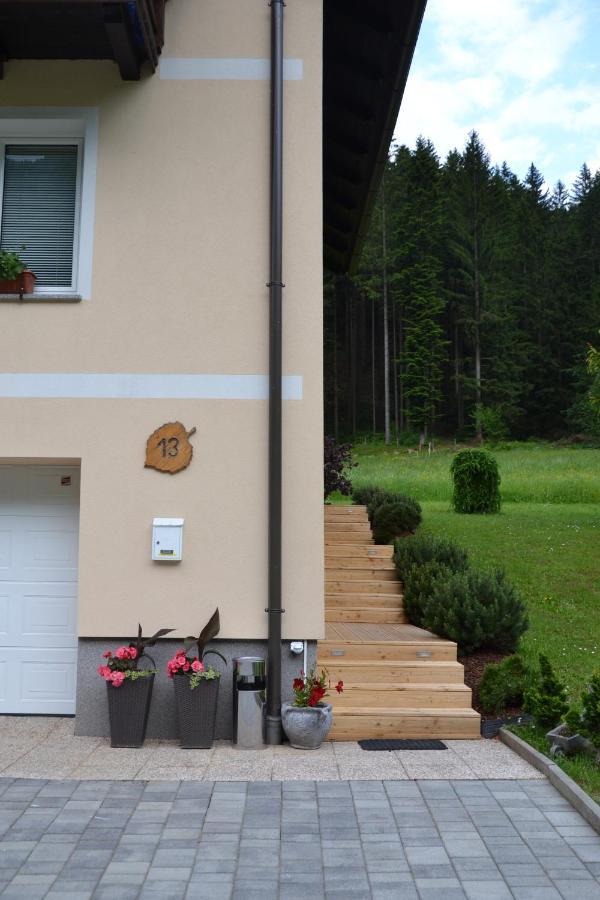 Apartma Ob Potoku Luče Zewnętrze zdjęcie